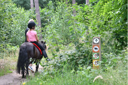 Camping & Bungalowpark Ommerland met eigen manege met paardenstalling VMP088